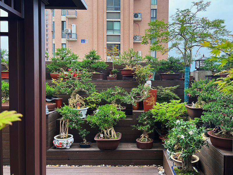 Rooftop Garden Terraced Planters & Seating