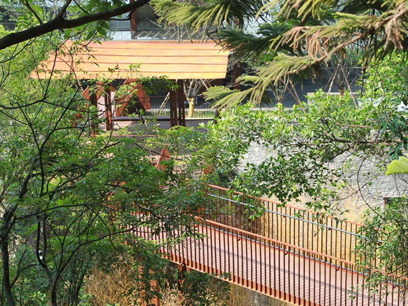 Canopy Walkway & Forest Elevated Trail