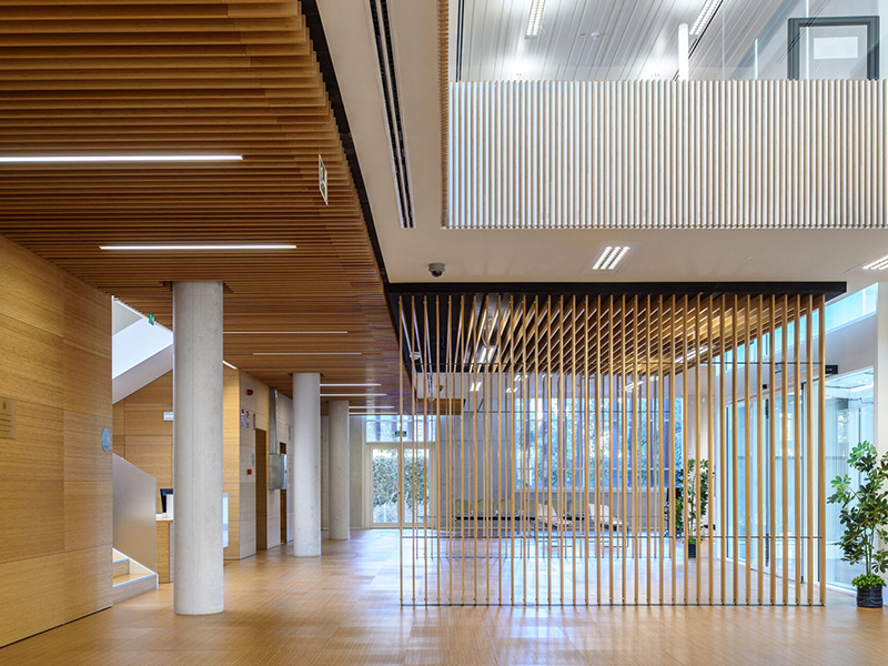 Atrium Space Division & Open Screen Structure